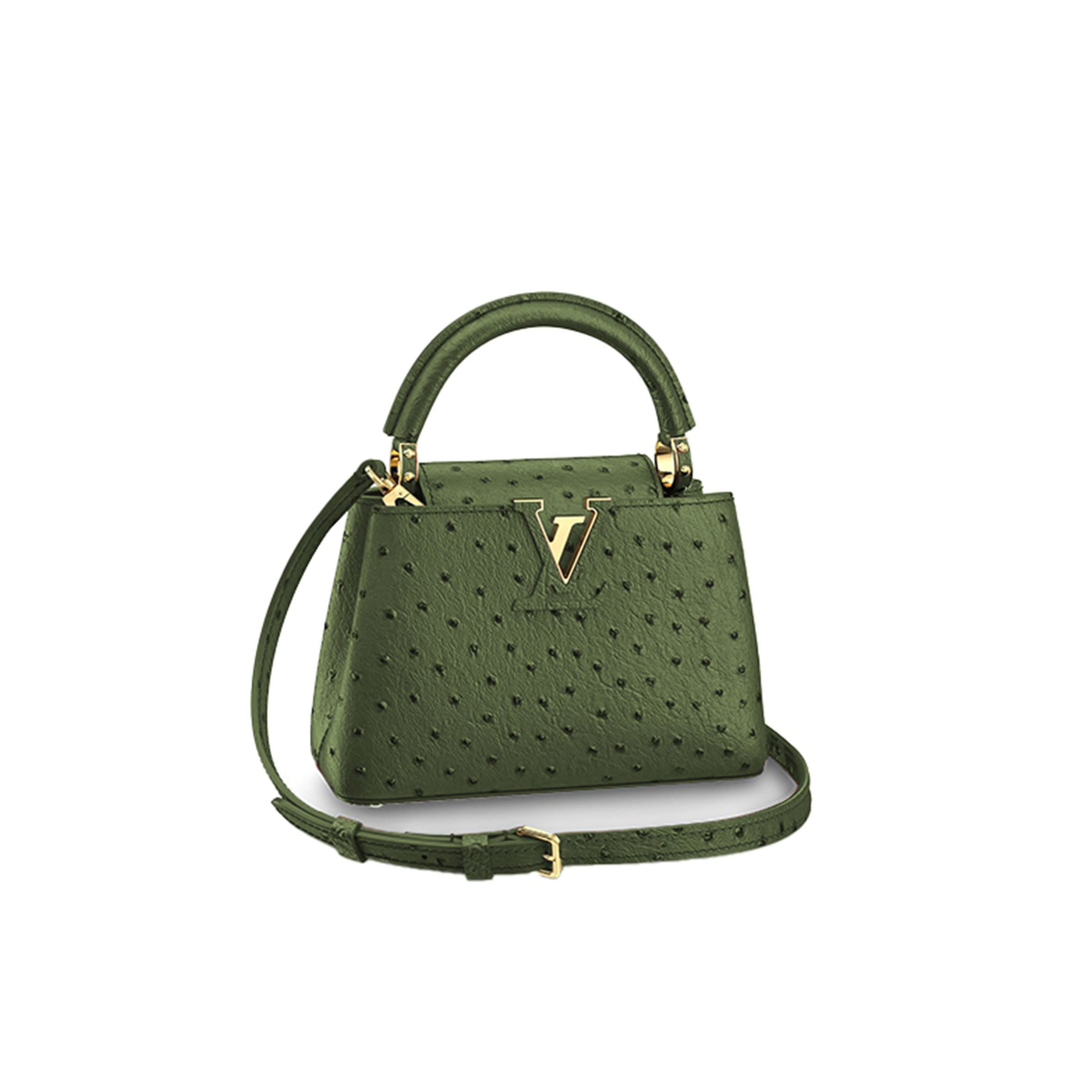 LOUIS VUITTON CAPUCINES MINI M95509 (21*14*8cm)
